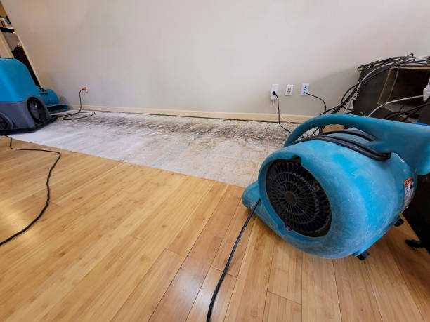 Professional Water Damage Repair technician working in Paradise, PA